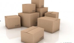 废纸箱最新爆料视频教程,最新爆料视频教程深度解析