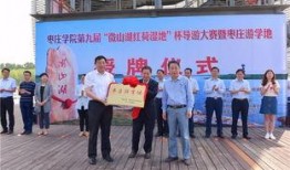 枣庄导游爆料视频大全,视频大全中的独特魅力与历史故事